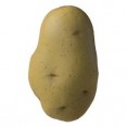 A-566-1