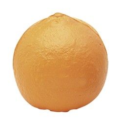 B-2054